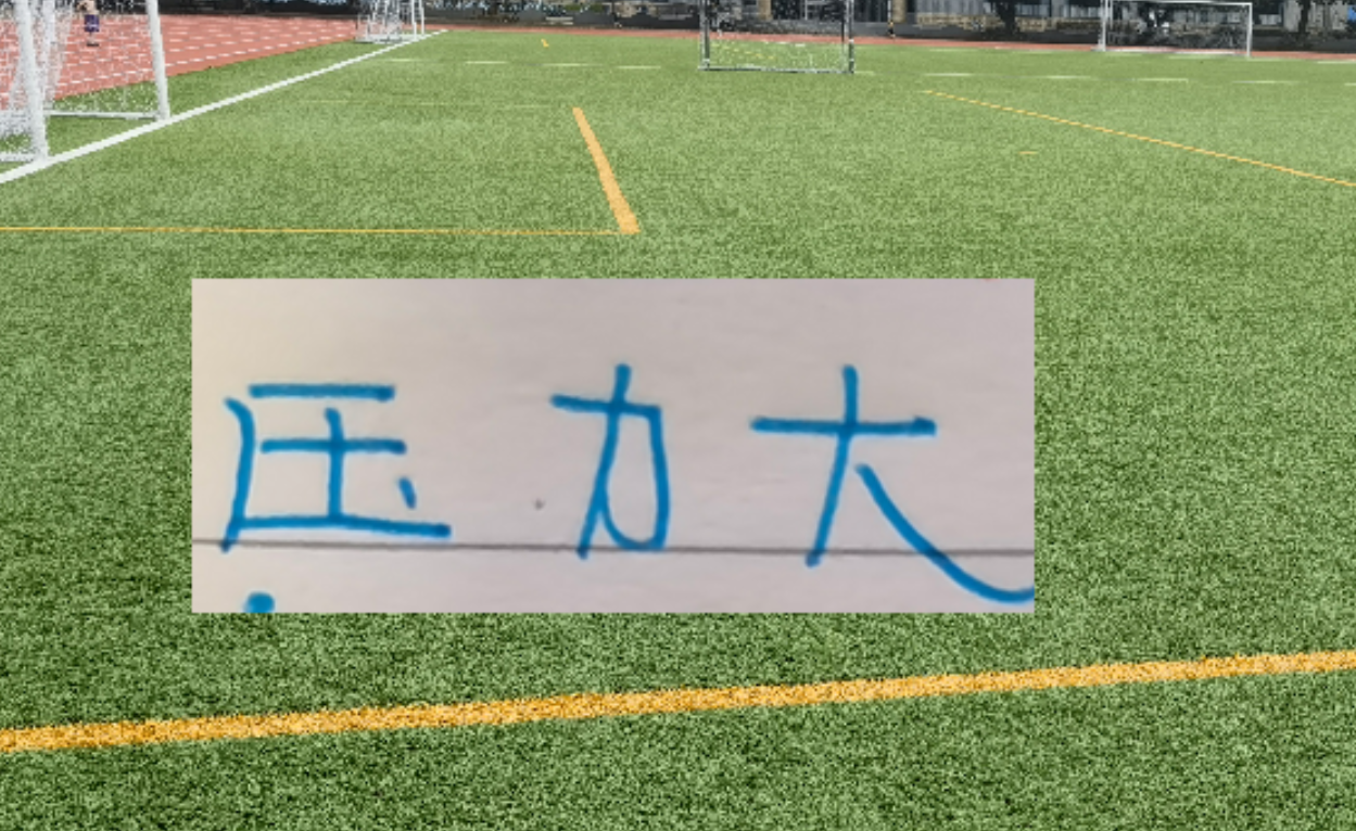 直播平台-冰火两重天！四大澳洲教头 浙江跟北京国安主帅不好过 谁会先下课