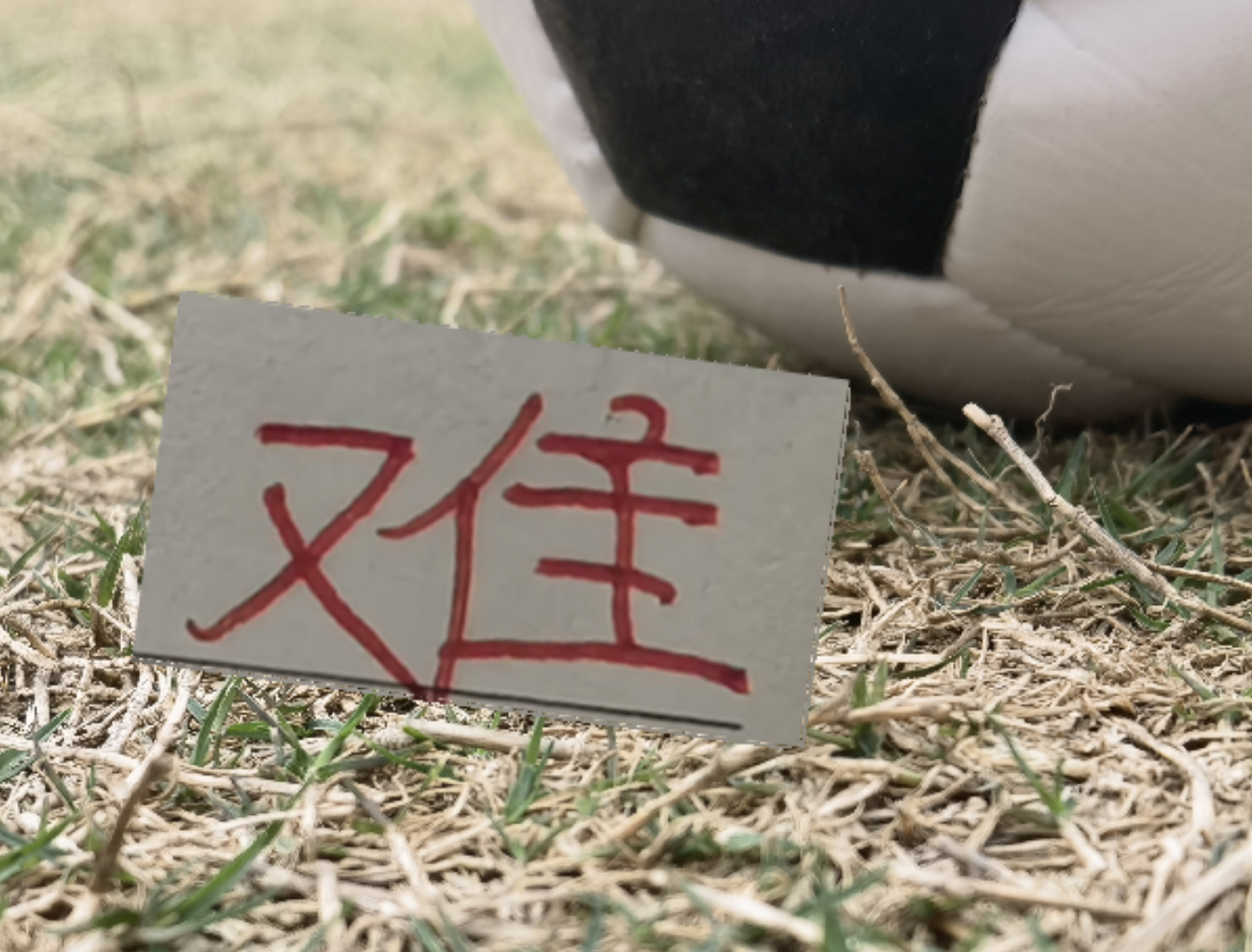 疲劳度加满！再加遇旧人徐新 卫冕冠军周末战云南 能避免两连败吗